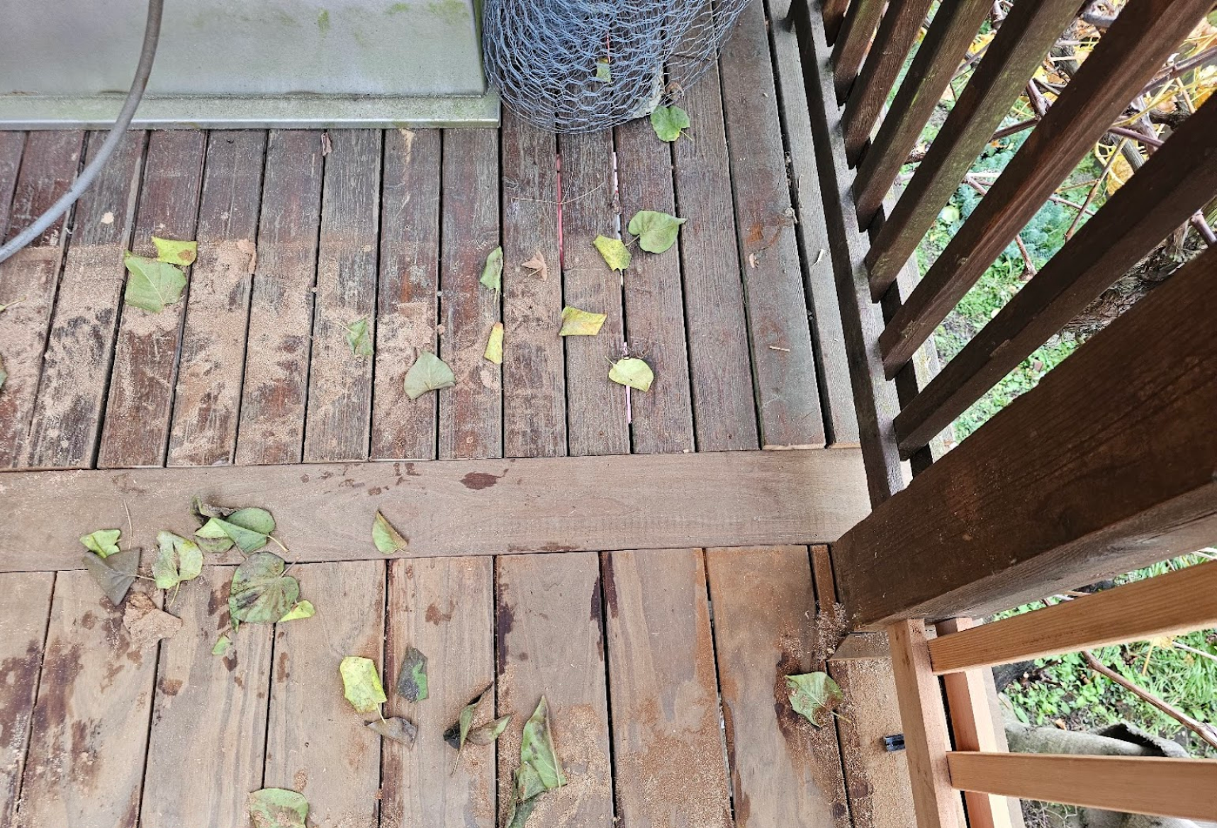 Beautifully restored wooden deck with fresh finish